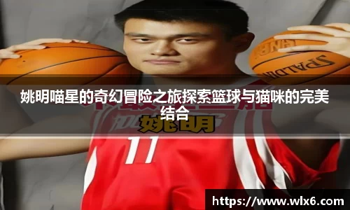 姚明喵星的奇幻冒险之旅探索篮球与猫咪的完美结合