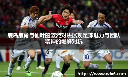 JN江南